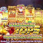 ทดลองเล่นสล็อตค่ายpgฟรี